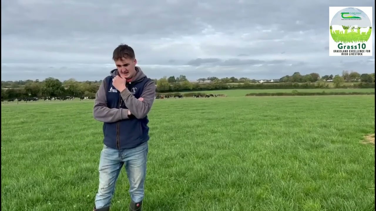 Managing grass correctly in the Autumn on Irish dairy farms - Joe Murphy