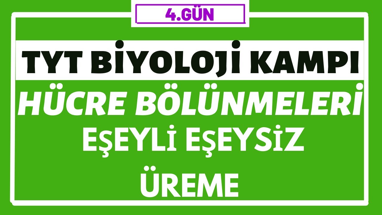 Hücre Bölünmeleri - Eşeyli Üreme - Eşeysiz Üreme | TYT BİYOLOJİ KAMPI | 4.gün |