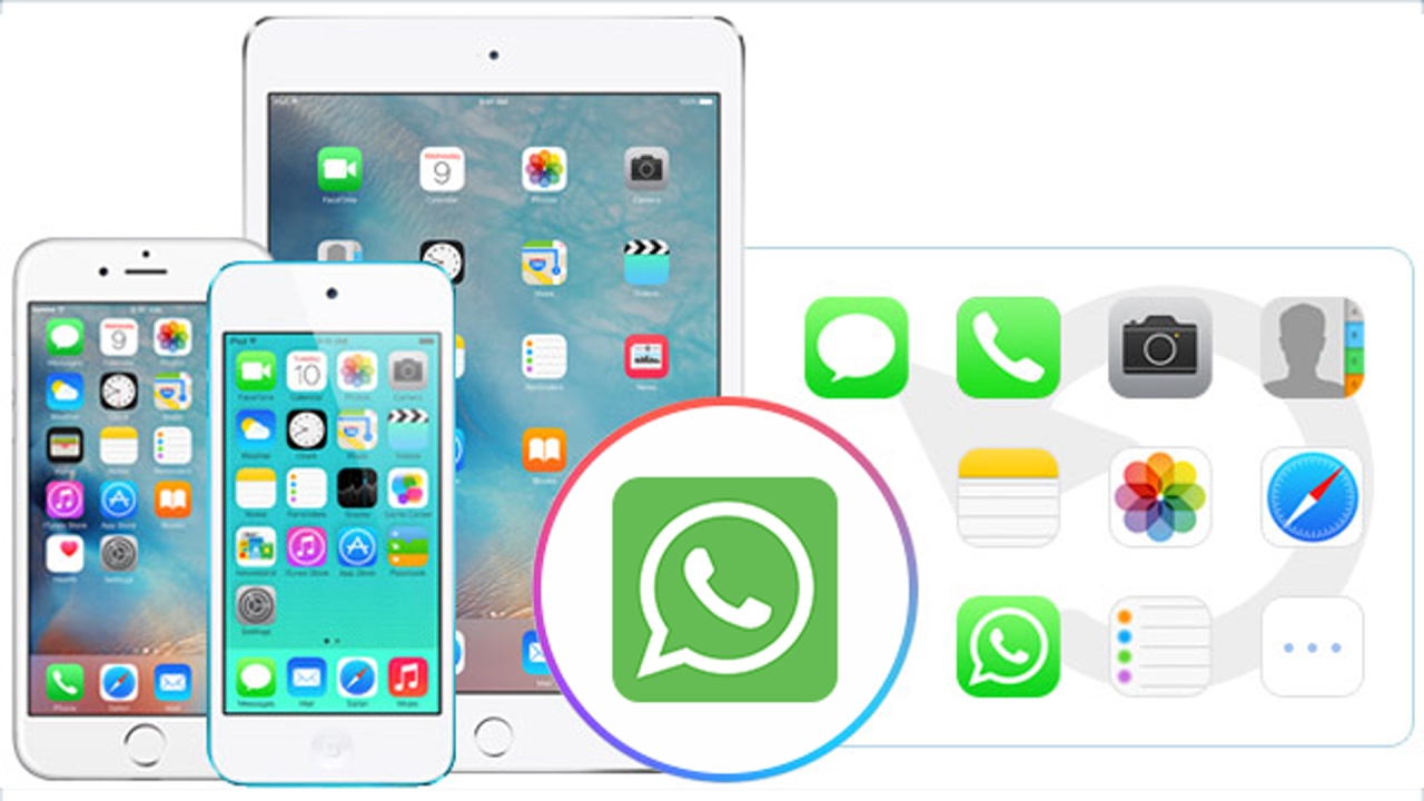 How to Recover WhatsApp Chat History from iPhone Backup