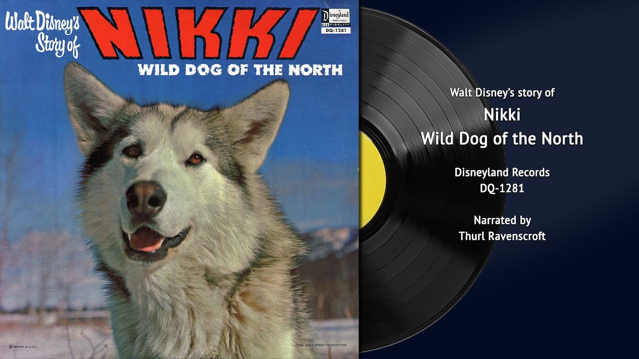 Walt Disney's Nikki, Wild Dog of the North (DQ-1281) | Vintage Disney Vinyl Restored