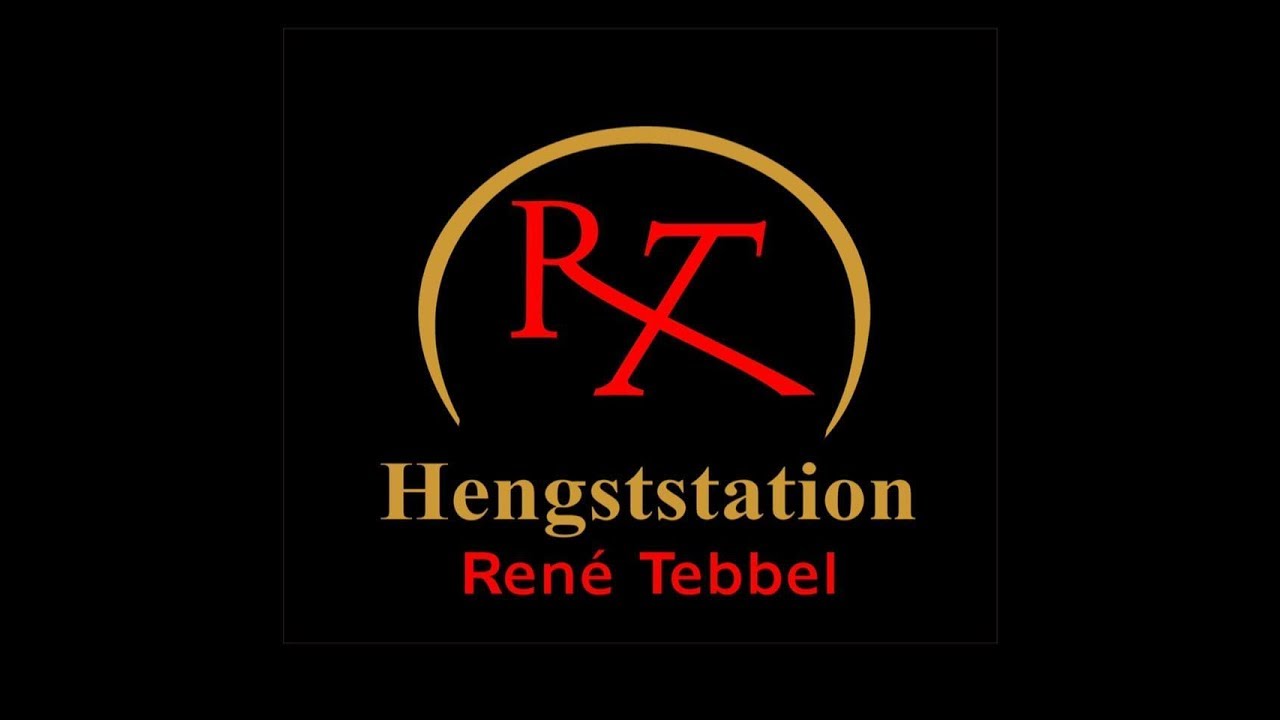Don Diarado und Dia Corrado Hengstschau Vechta 2020