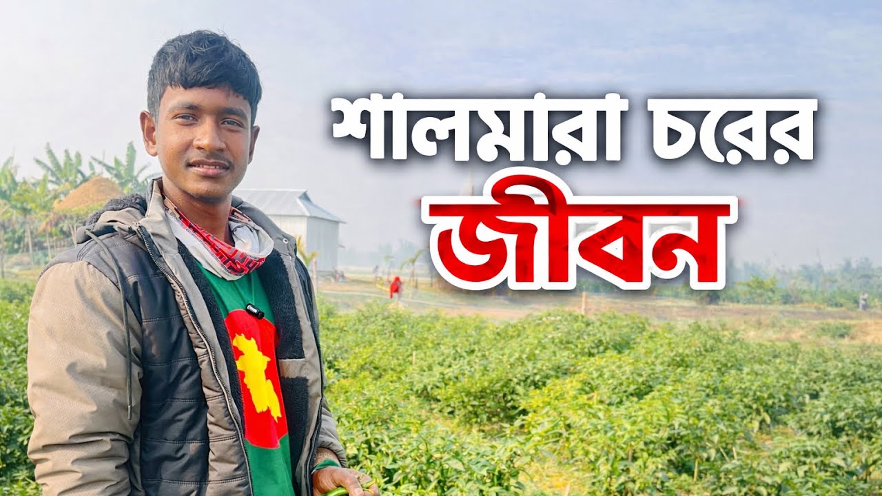 শালমারার চরে একা সুমনের জীবন! নদীচরের নির্জন সংগ্রামের গল্প