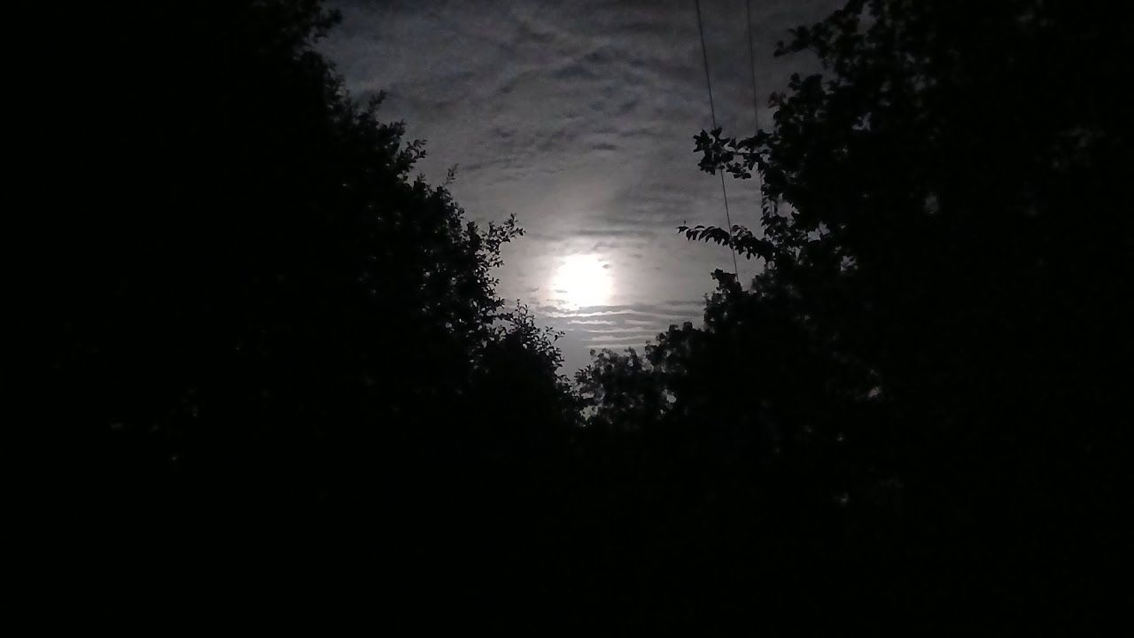 Blue Moon |short film|