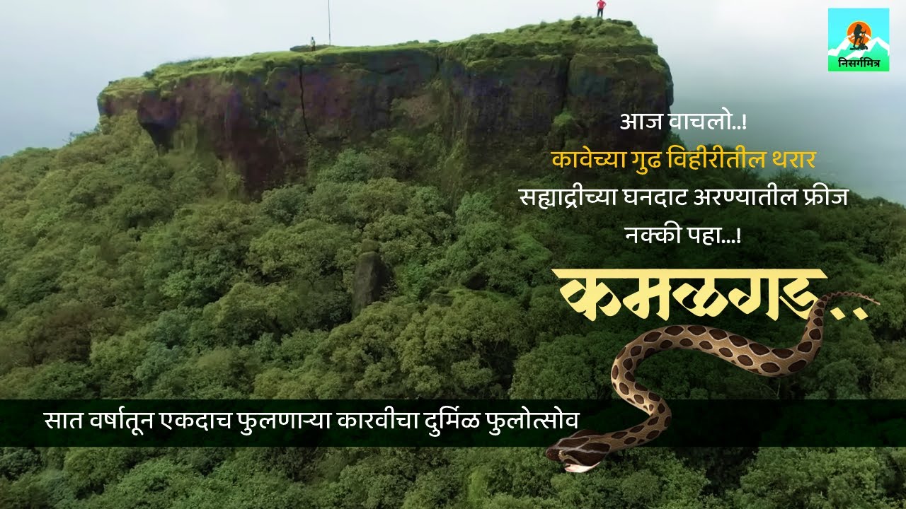 #kamalgad आज वाचलो..! कावेच्या गुढ विहीरीतील थरार सह्याद्रीच्या घनदाट अरण्यातील फ्रीज नक्की पहा...!