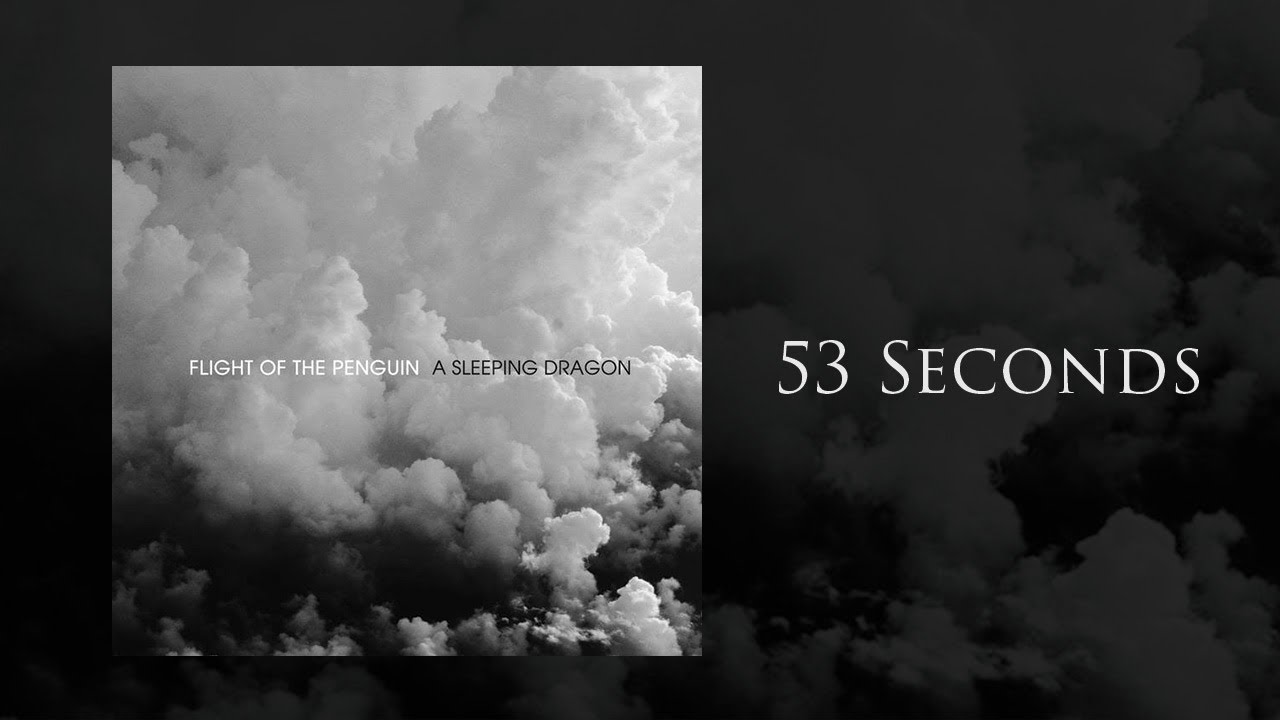 Flight Of The Penguin - 53 Seconds