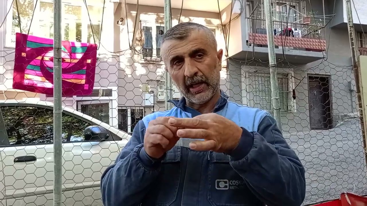HANGİ HOROZ VE TAVUKTAN YAVRU ALINIR???