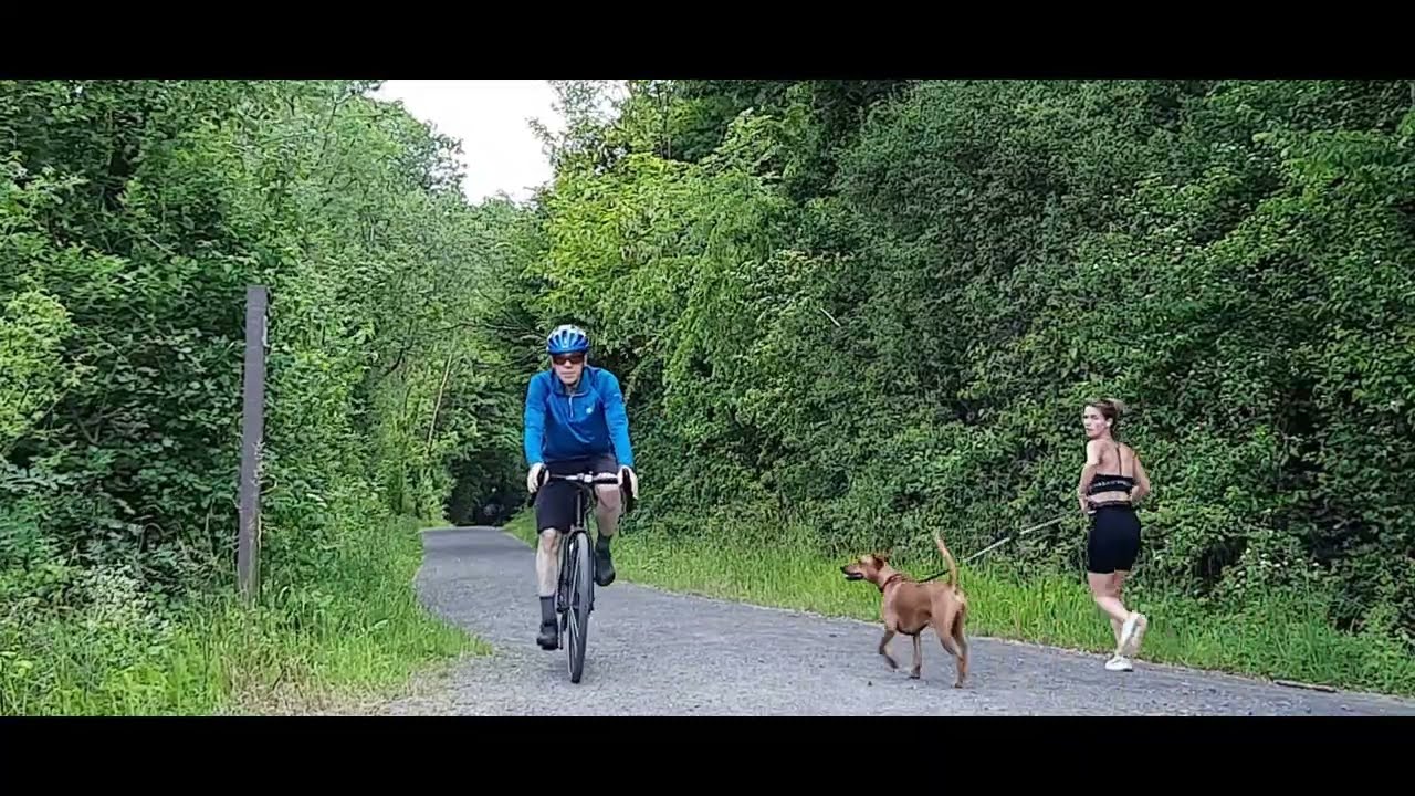 Umbau Trekkingrad zum Gravelbike.