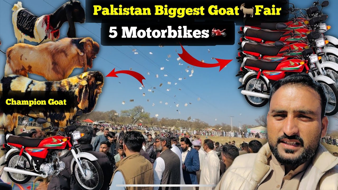 Pakistan Kashmir Biggest Goat🐐Fair || Kashmir Champion🏆Goat Number 1 || 5 Motorbike🏍Reward ||
