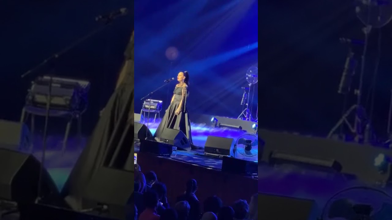 Елена Ваенга. Кремль. 31 января 2026.1 отделение 