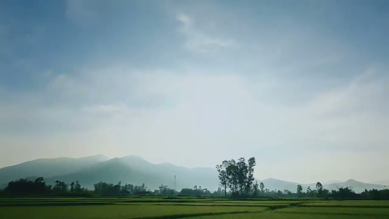 🌾Lúa đang thời con gái, đẹp quá! Hứa hẹn mùa bội thu!😊