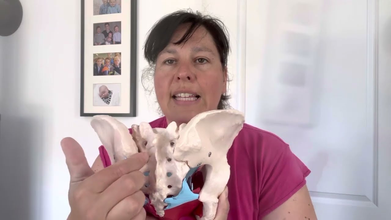 Anatomie knöchernes Becken