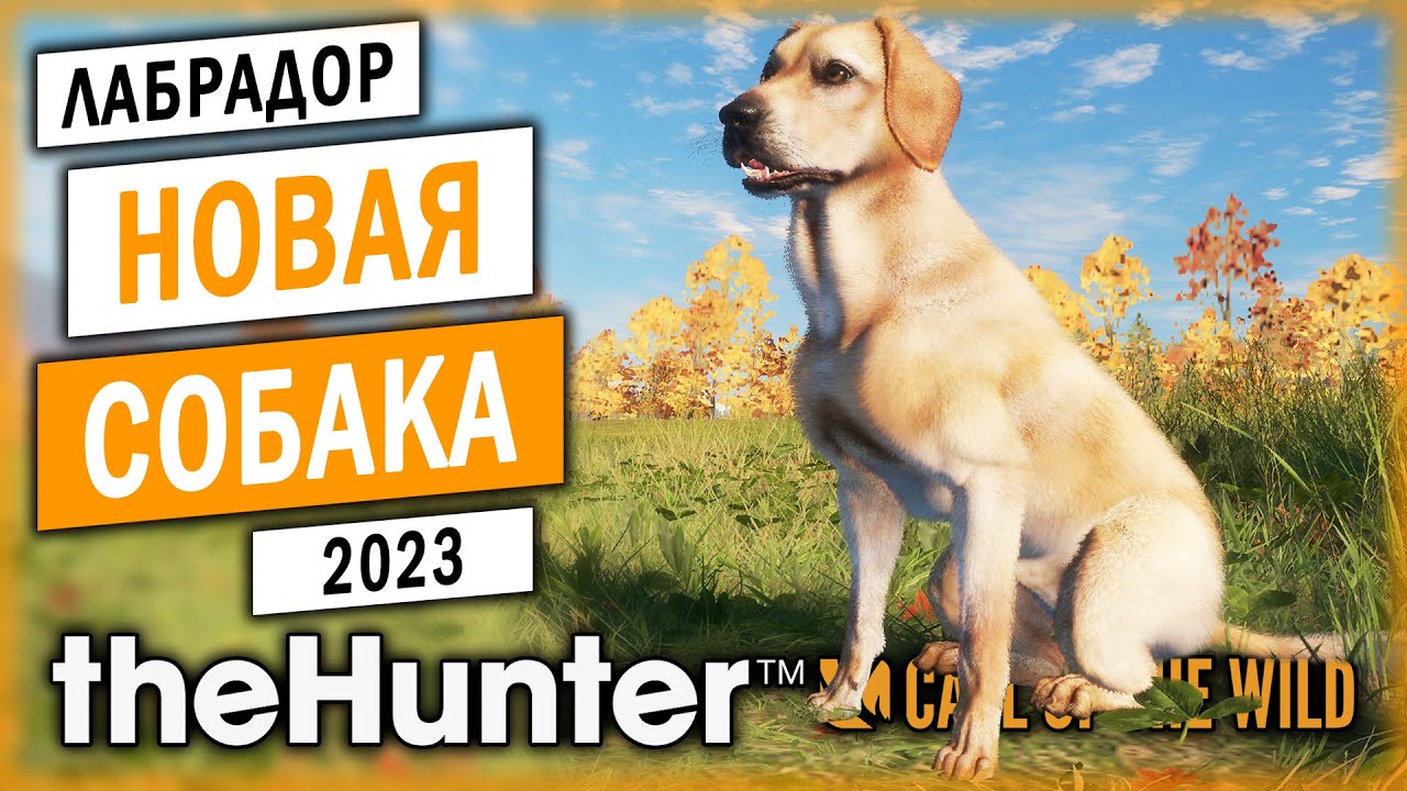 МЫ ЖДАЛИ ЭТОГО ДВА ГОДА! НОВАЯ СОБАКА - ЛАБРАДОР! | theHunter Call of the Wild 🐶 | Часть #1