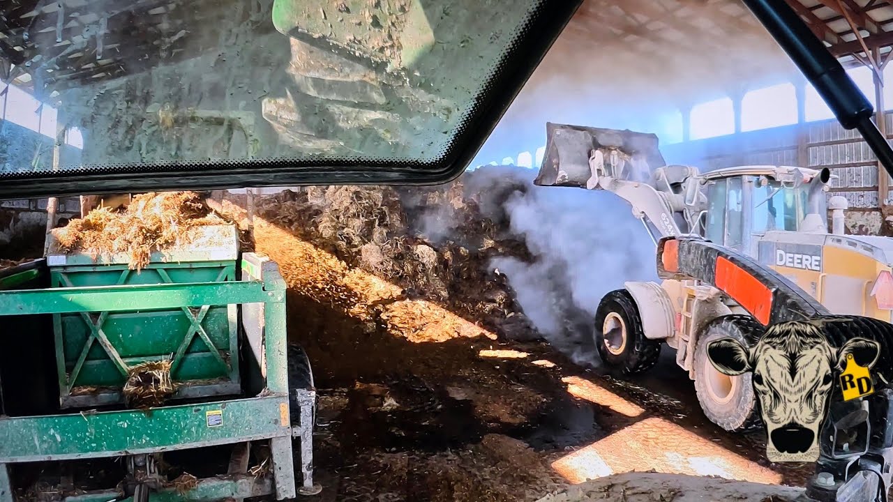 Молочное животноводство (всегда есть чем заняться)