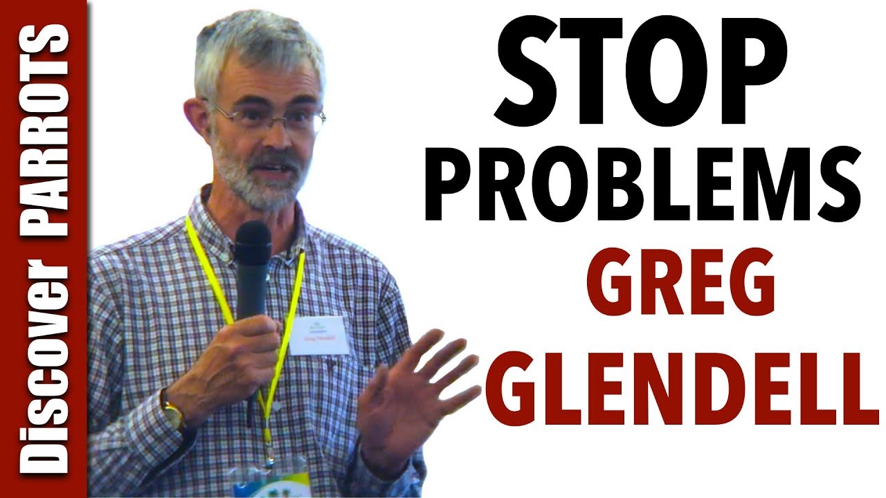 Preventing Behavioural Problems in Pet Parrots with Greg Glendell | Discover Parrots