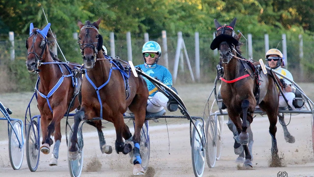 Kasačke trke Sombor 3.dan - 8.trka 