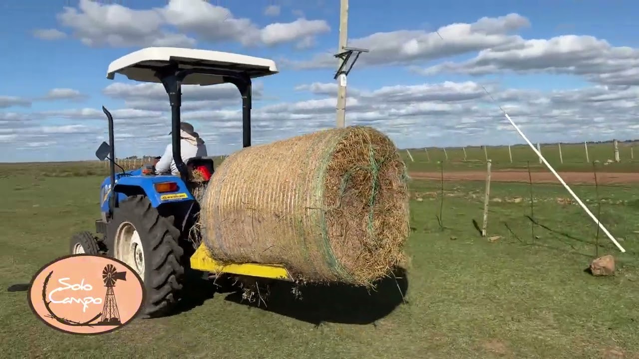 El negocio de la carne en Uruguay
