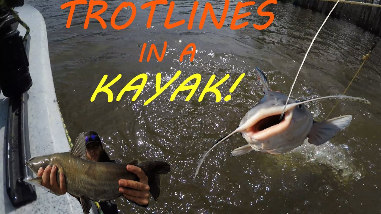 Running Trotlines From The Kayak!