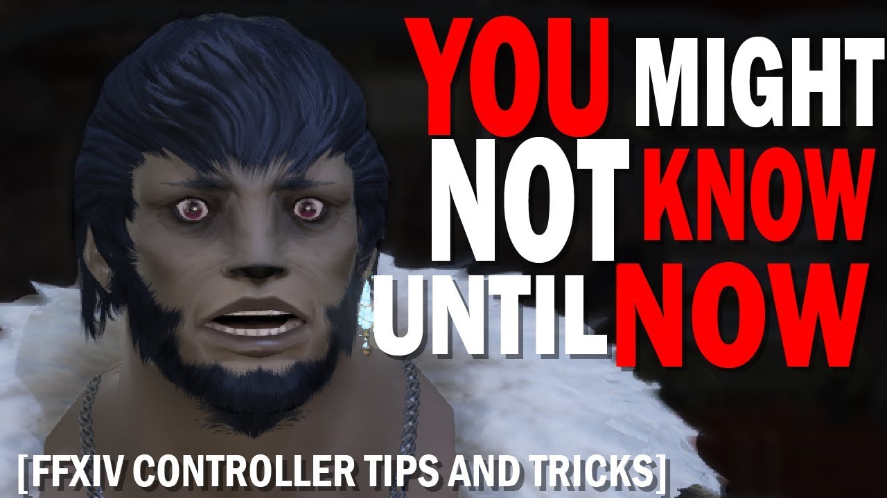 FFXIV 20 Things You Might Not Know Until Now | Controller Guide