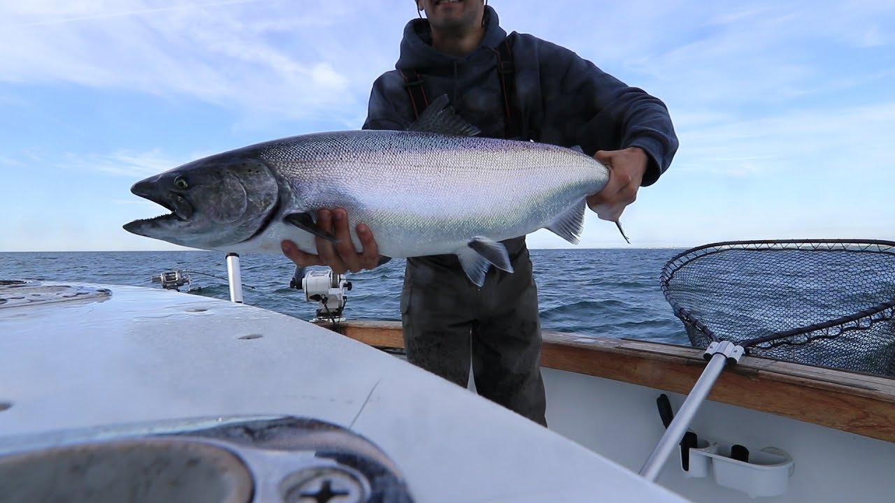 King of the Lake fishing tournament recap