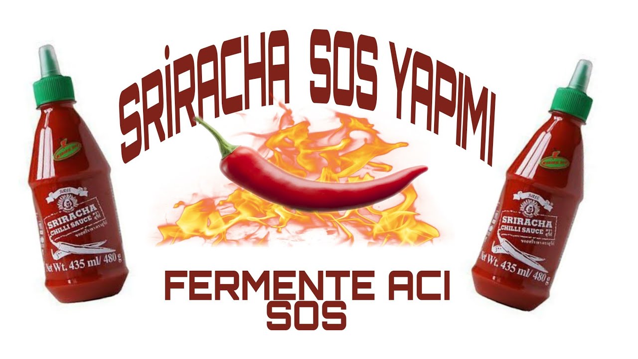SRİRACHA  SOS YAPIMI //  FERMENTE BİBER  SOSU