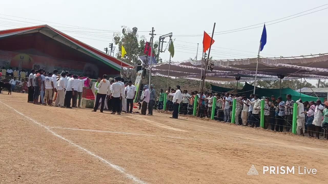 మేళ్లచెరువు  న్యూ కేటారిగి3 Gmr bulls & మోదుగుల రామిరెడ్డి గారు (చిరుత రాముడు
