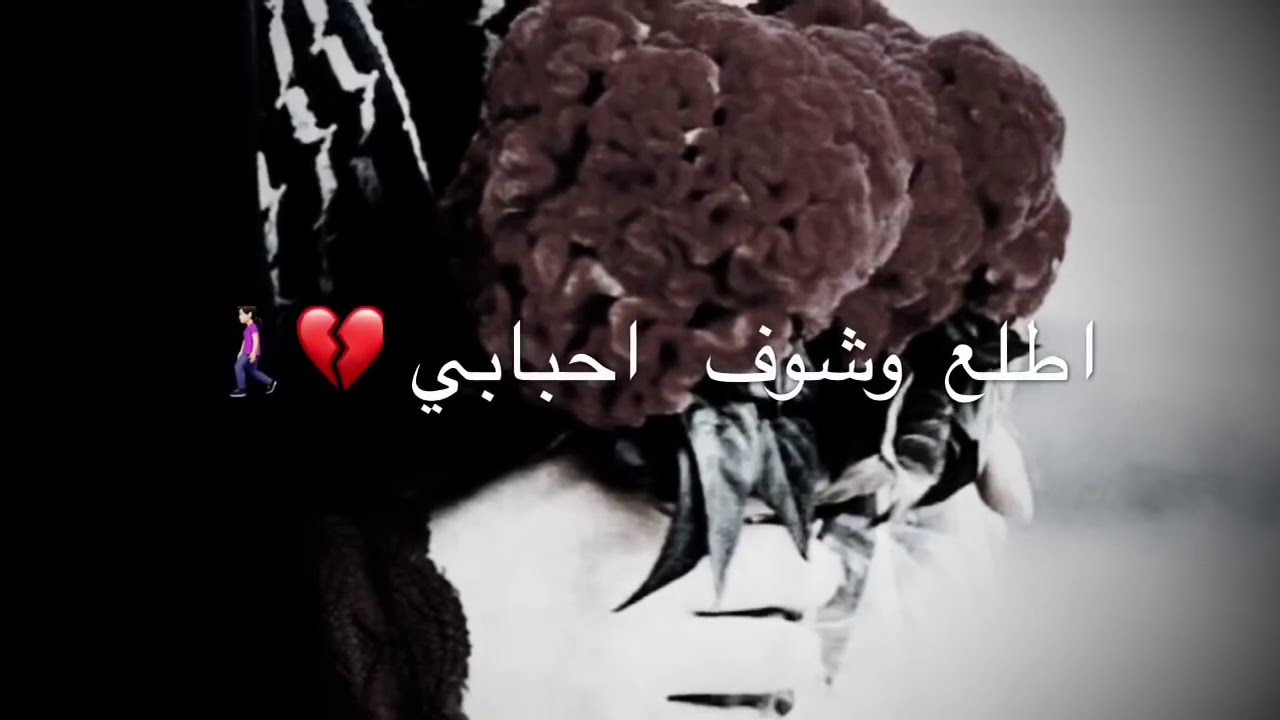 حلمانه ادغ بابي اطلع وشوف احبابي