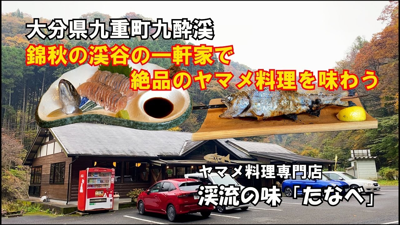 【ひろじぃの気まま旅】錦秋の渓谷の一軒家で絶品ヤマメ料理を味わう　ヤマメ料理専門店　渓流の味「たなべ」