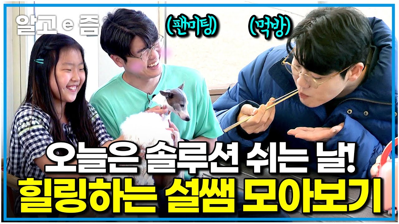 반려견들의 행복을 위해 쉼 없이 달려온 설쌤! 오늘만큼은 맘 편하게 행복 풀 충전한 설채현 수의사 모음.zip｜세상에 나쁜 개는 없다｜알고e즘
