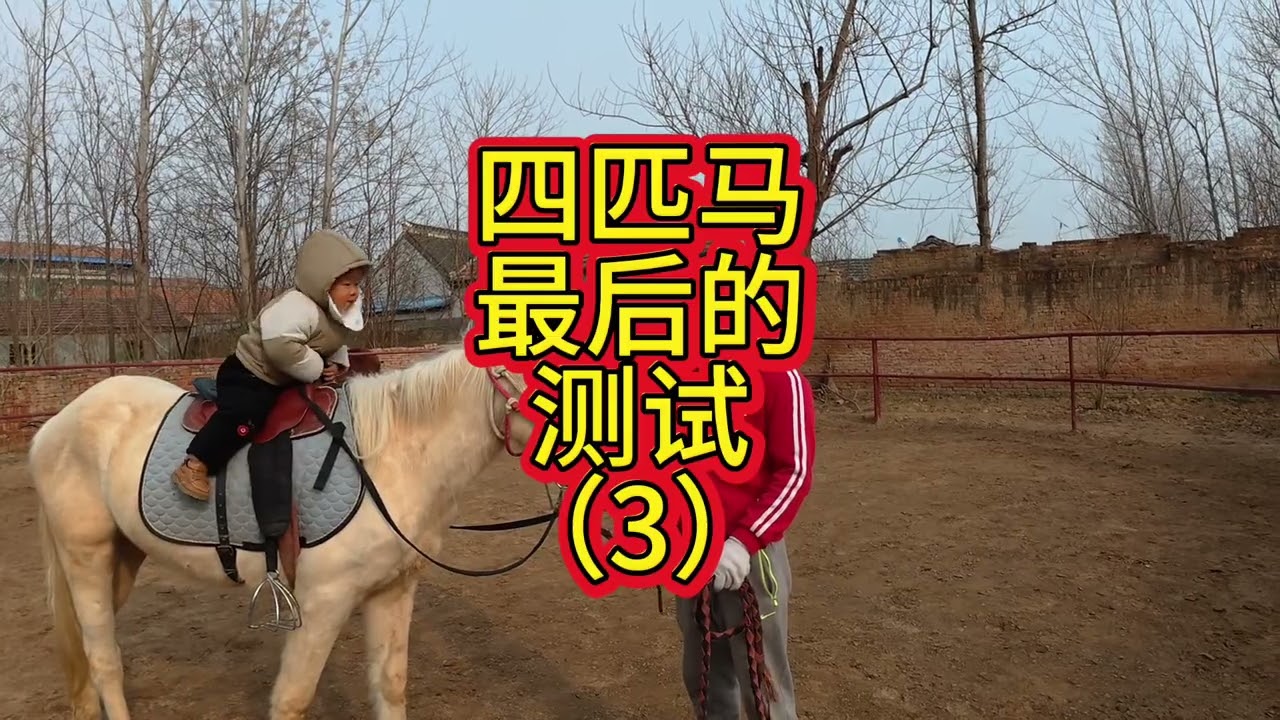这匹马是四匹马里面脾气最大也是敏感度最高的一匹，应该能打比赛 #河南驯马小伙骑士威 #易明马道 #中国人的驭马之道 #以柔克刚驯马法 #传播中国马文化