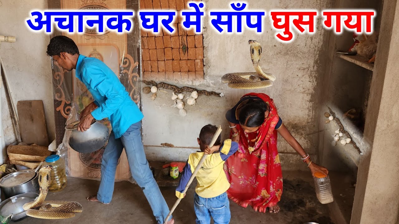 अचानक घर में दो मुँहा साँप निकल गया | पूरा परिवार डर गए | Pahadi Lifestyle Vlog
