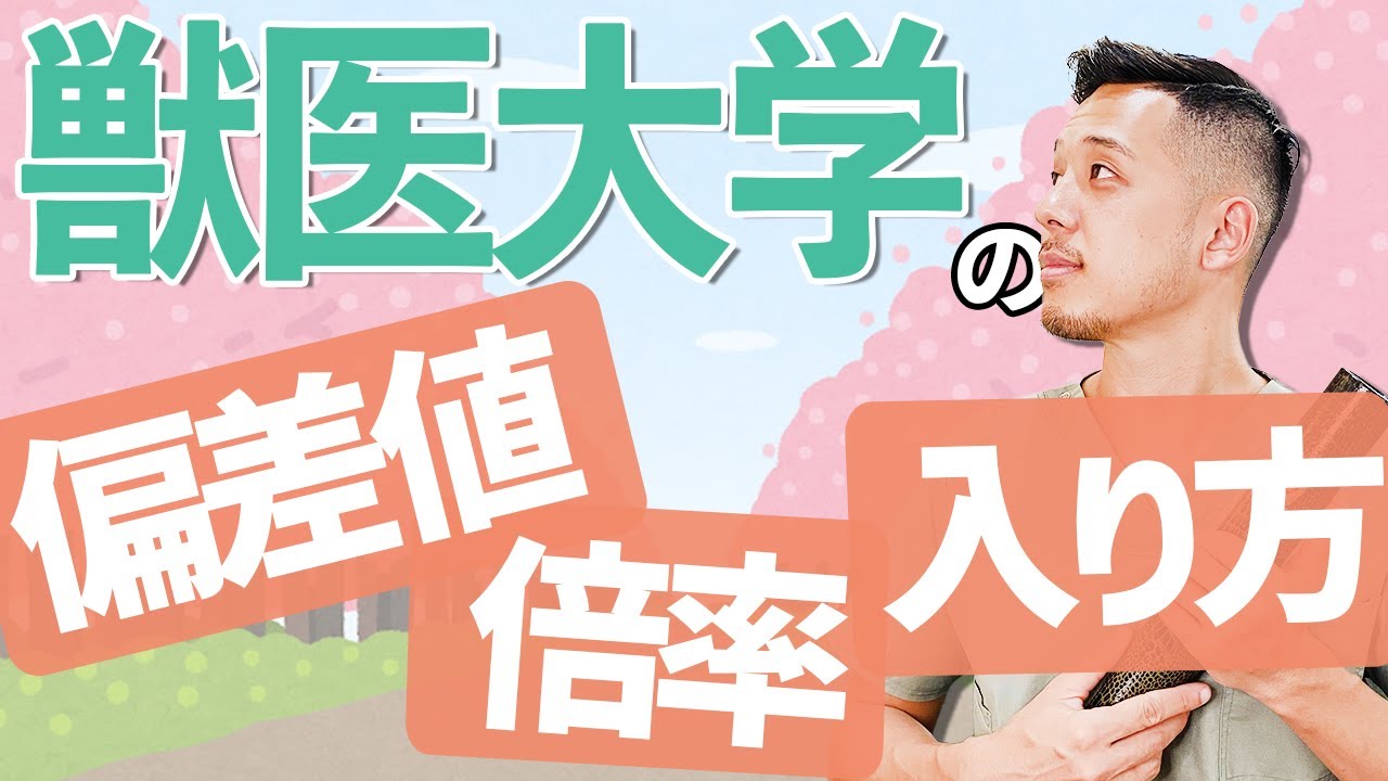 【獣医大学】知っておきたい試験形式、偏差値、倍率について解説します