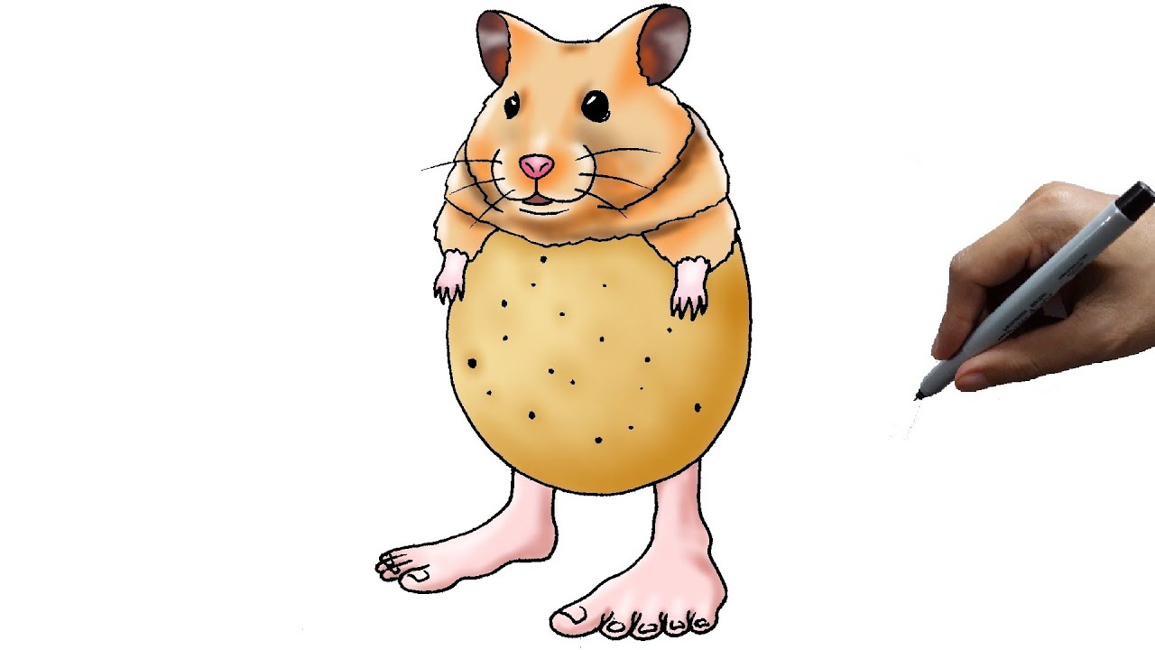 How to draw pipi potato brainrot || step by step
