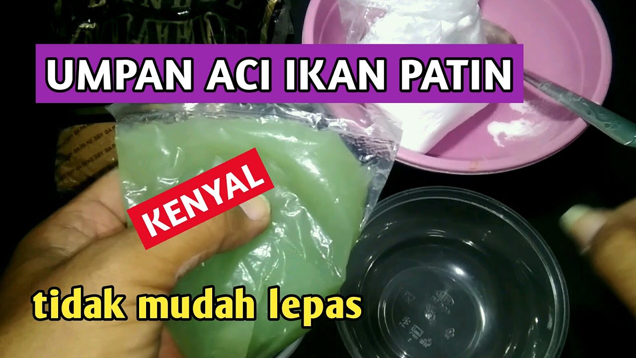 CARA MEMBUAT UMPAN ACIAN IKAN PATIN SPESIAL