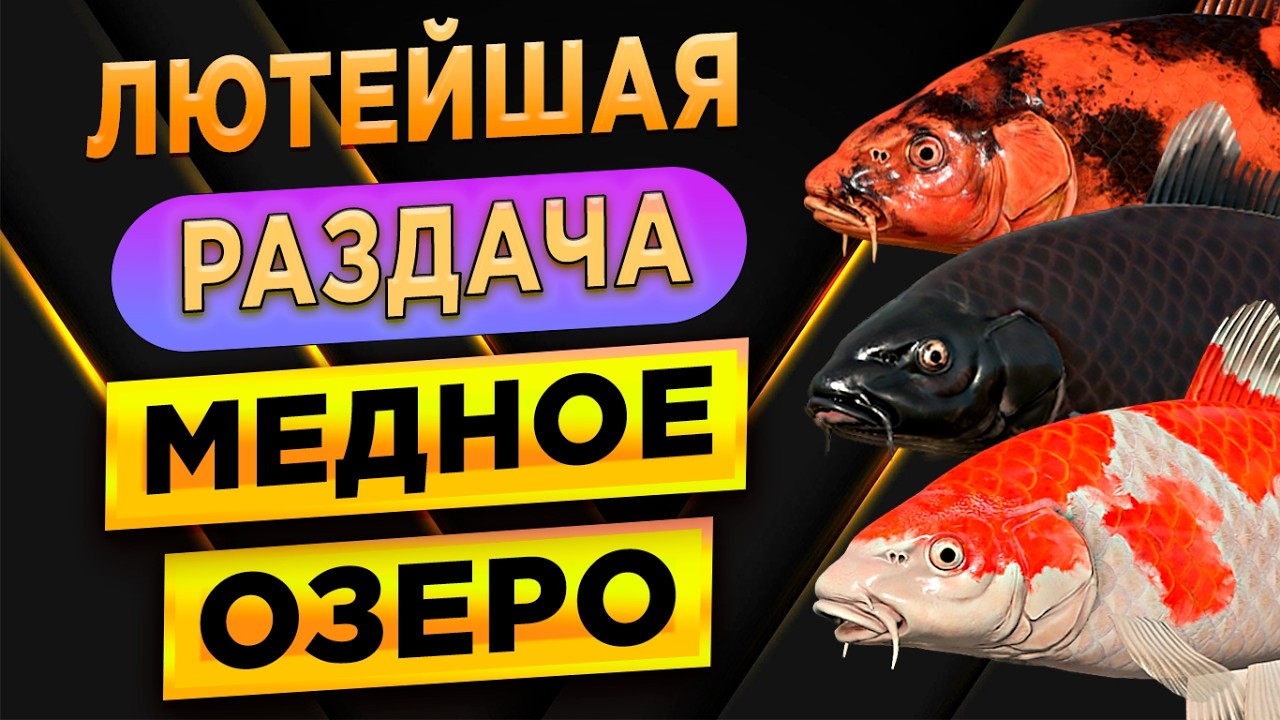 НАЧАЛАСЬ БОМБОВО-ВЗРЫВНАЯ РАЗДАЧА ФАРМА НА МЕДНОМ ОЗЕРЕ! • 1200+ В ЧАС! •Русская Рыбалка 4 РР4
