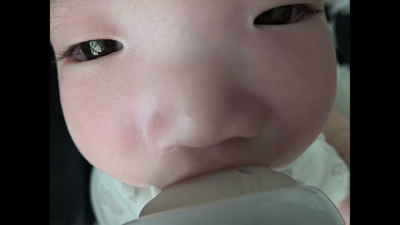 분유 먹는 이나 ASMR 20251221