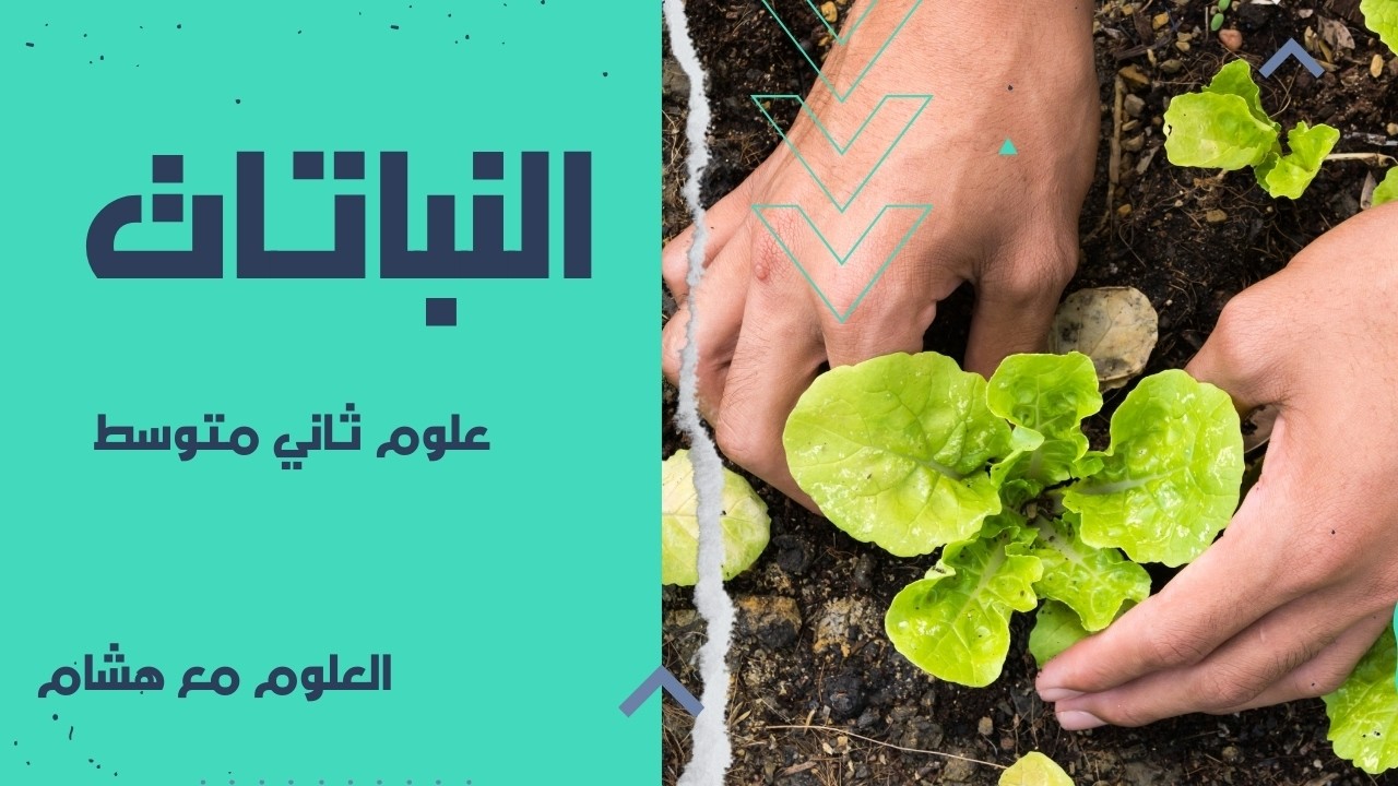 كيف تنمو النباتات؟ 🌱 شرح فصل النباتات | علوم ثاني متوسط 1447هـ