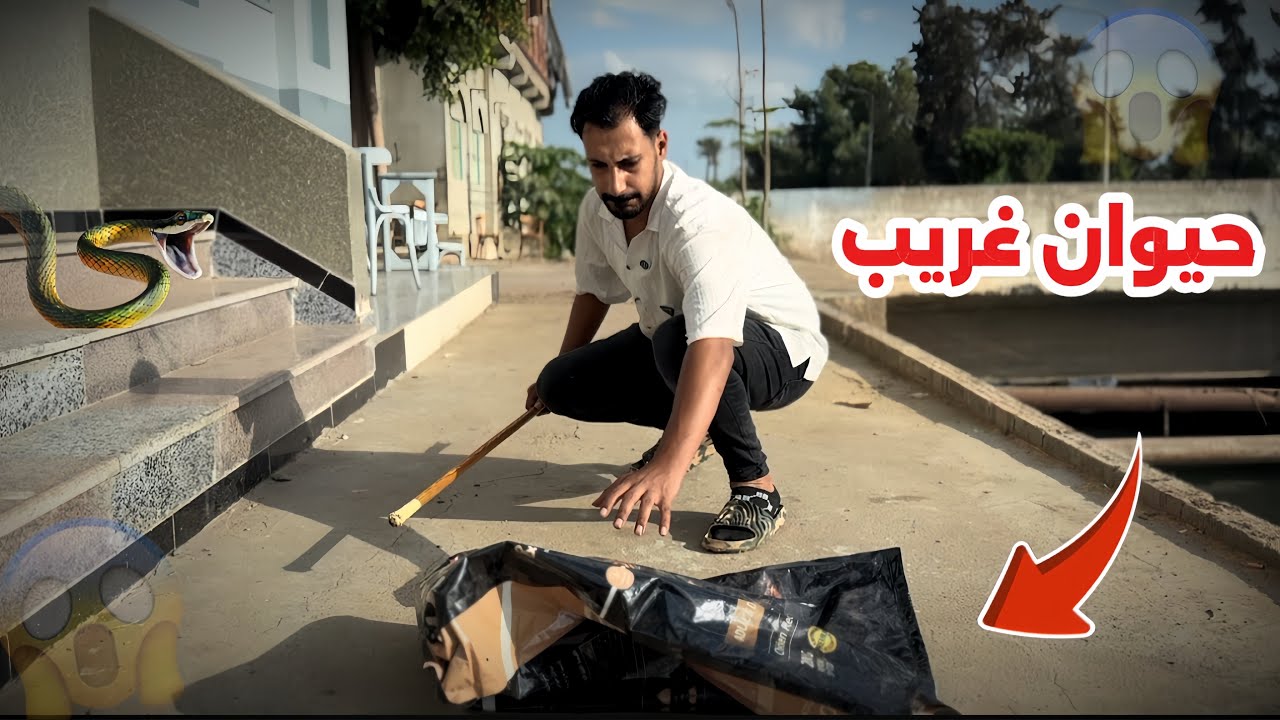 يا تري ايه الي في الشكاره؟ | مش هتصدق  حصل ايه😱