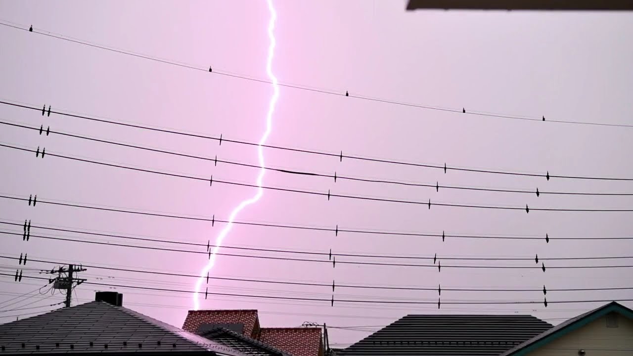 【雷の音】雷が目の前に落ちる瞬間【夕立】