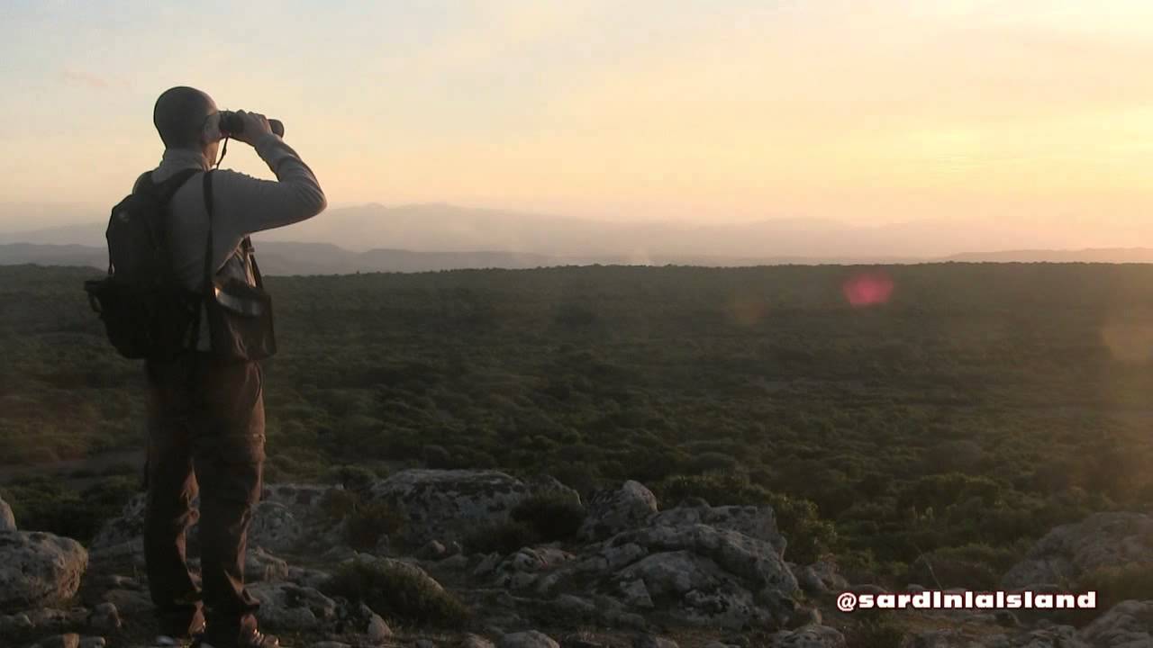 Sardegna - Sulla Giara di Genoni
