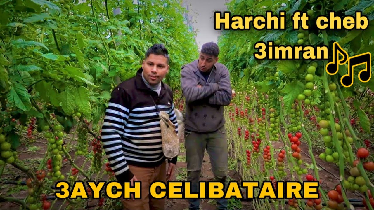 Harchi ft cheb imran - 3aych celibataire ( official music video ) 2022