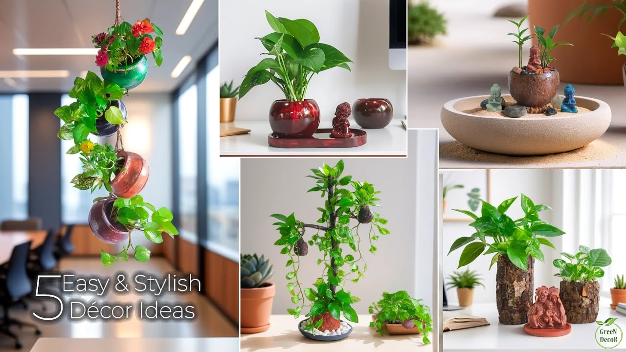 Best 5 Indoor Plant Ideas for Living Room Décor  “Easy & Stylish” Plants ideas//GREEN DECOR