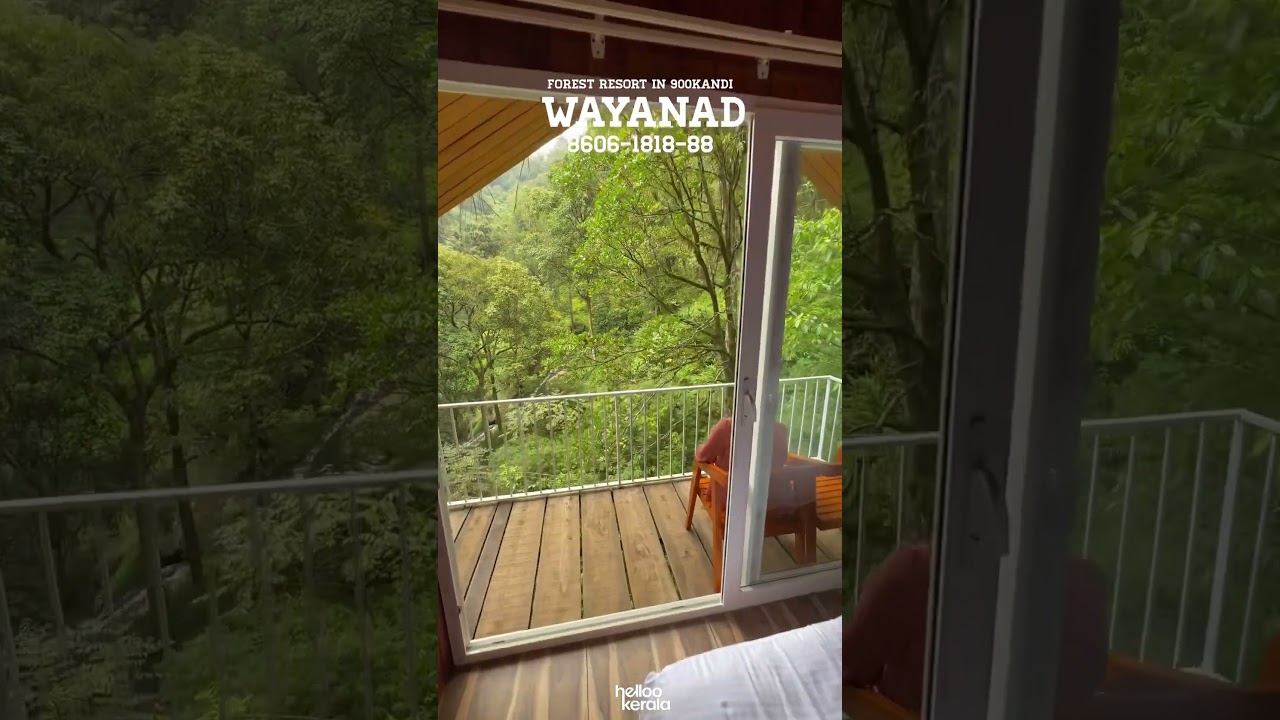 📍Forest resort in 900Kandi | HELLOOKERALA | 8606181888 #wayanad