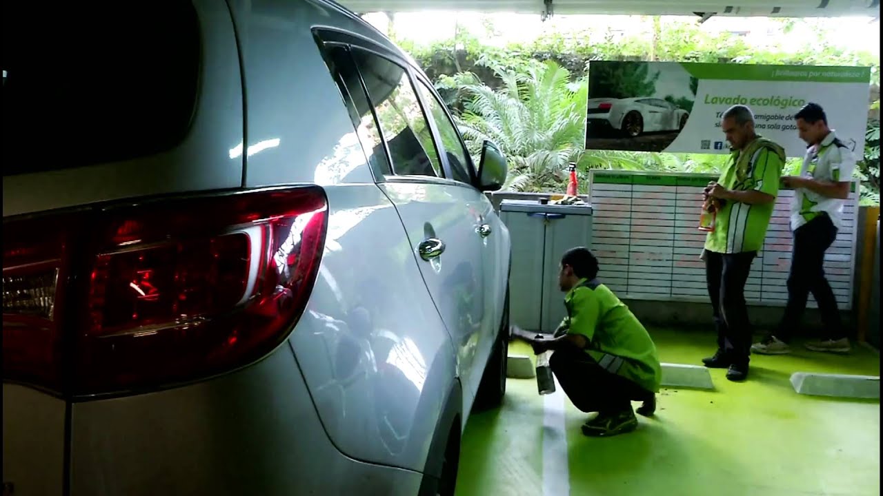 Soy Natural, Lavado de Autos en seco