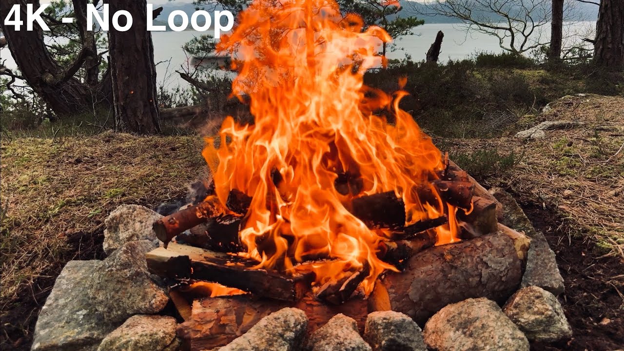 Campfire 4K No Loop No Edit - Crackling Fire Sound & Relaxing Bird Ambience - Fireplace Video 🔥