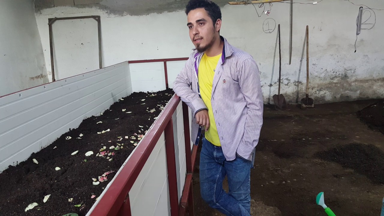 Solucan gubresi nasıl üretilir