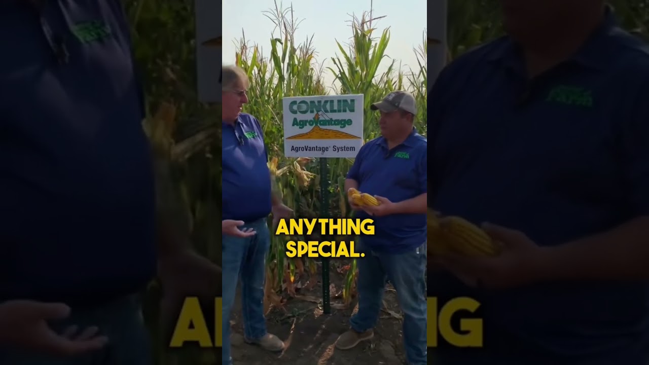Does liquid fertilizer pay?