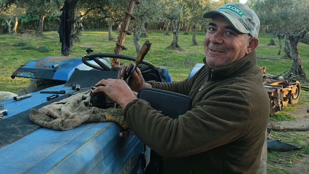 De arreglos a la libélula