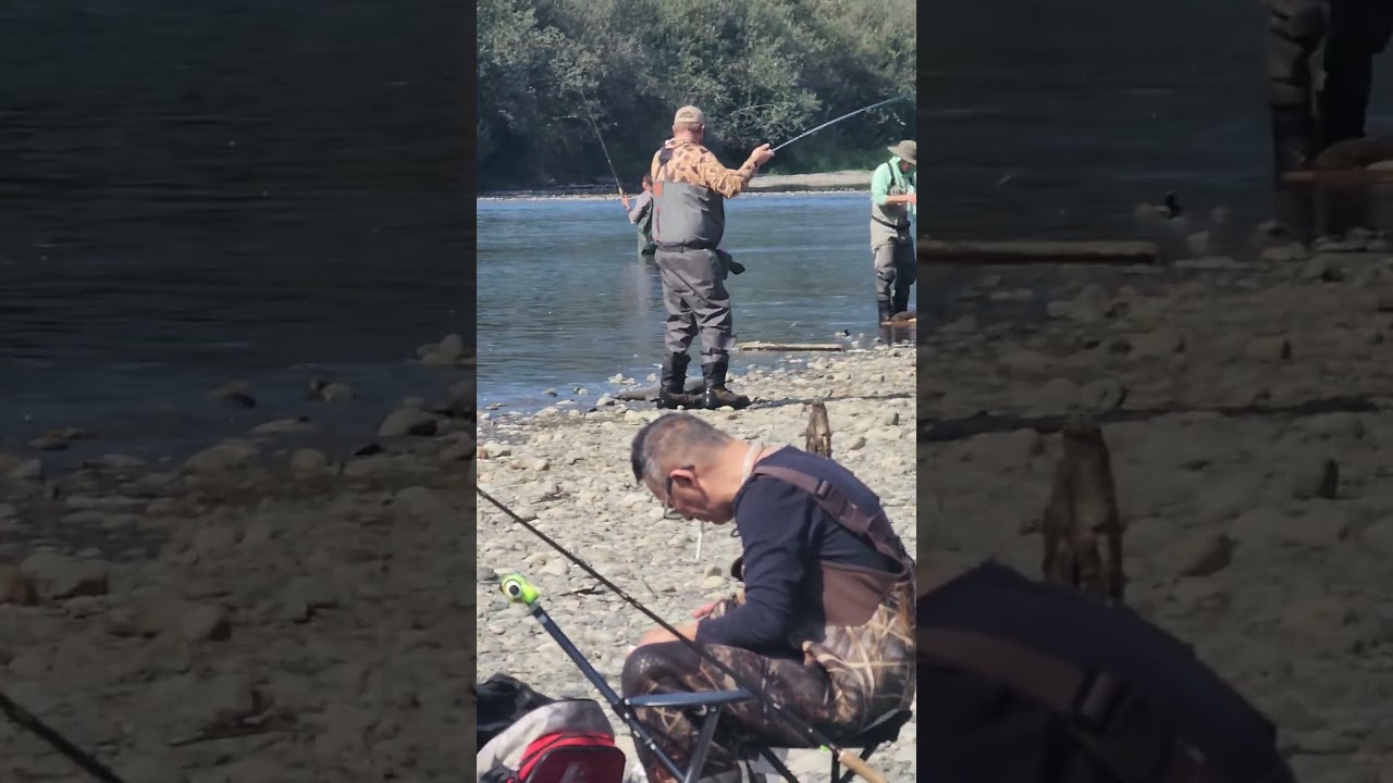 Finally I caught dynamic salmon today!!I ❤️ salmon fishing Canada 🇨🇦 #13