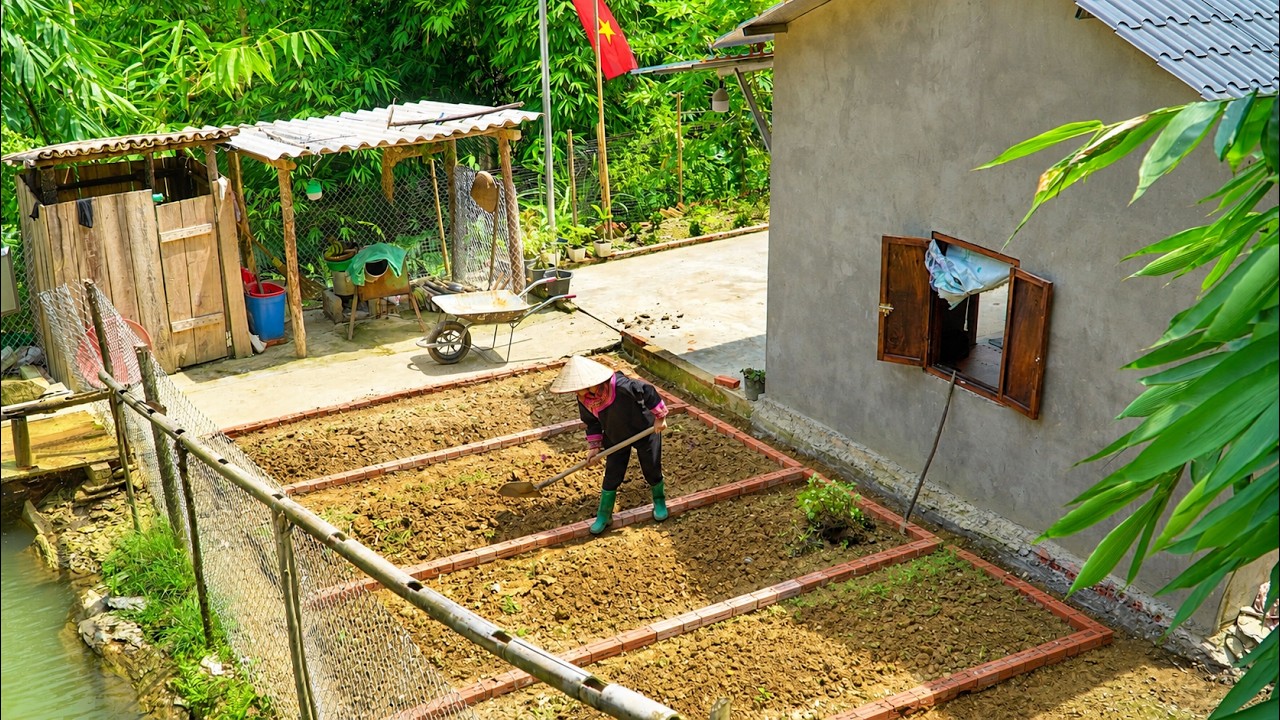Trieu Dung Diligently Dig Ditches in The Garden to Prepare for Her Next Project
