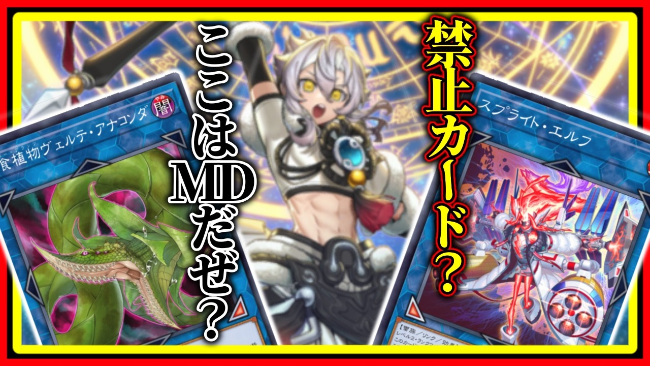 【ドラゴンテイル】普通のドラテに飽きた人へ【アナコンダ】